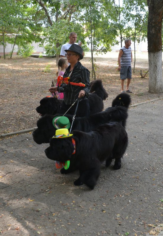 Фотография № 163822