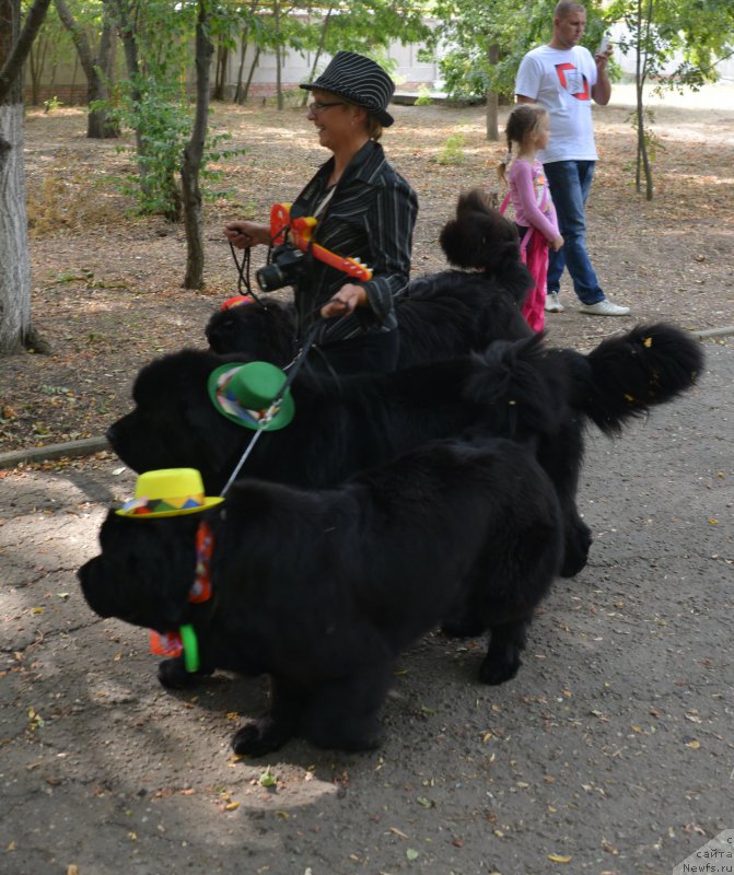 Фото: Elena Kuz'mina (Елена Кузьмина), и ее Качующие Музыканты