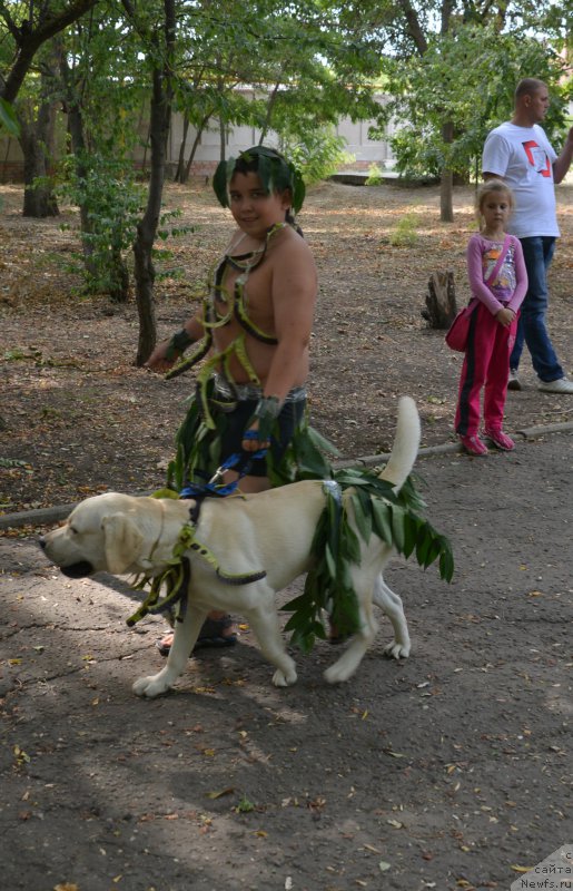 Фотография № 163824