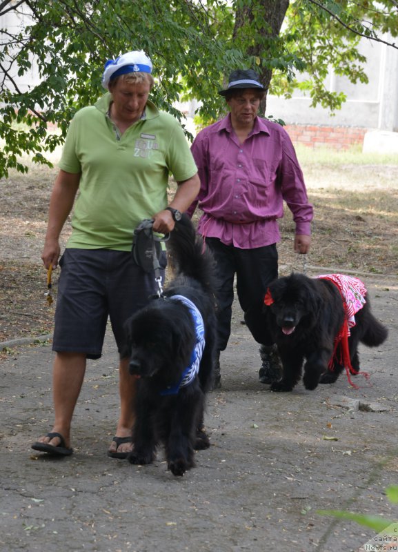 Фотография № 163825