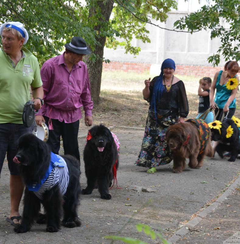 Фотография № 163826