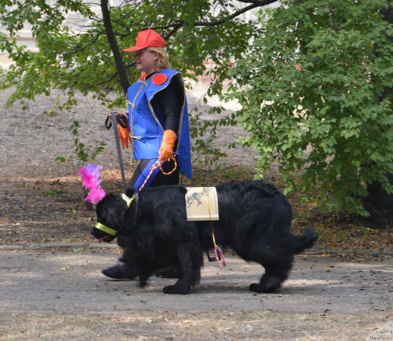 Фотография № 163827