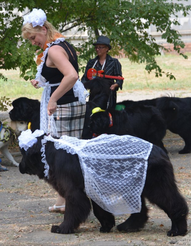 Фотография № 163829