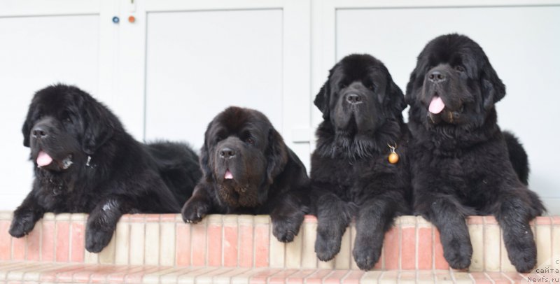 Фотография № 163832