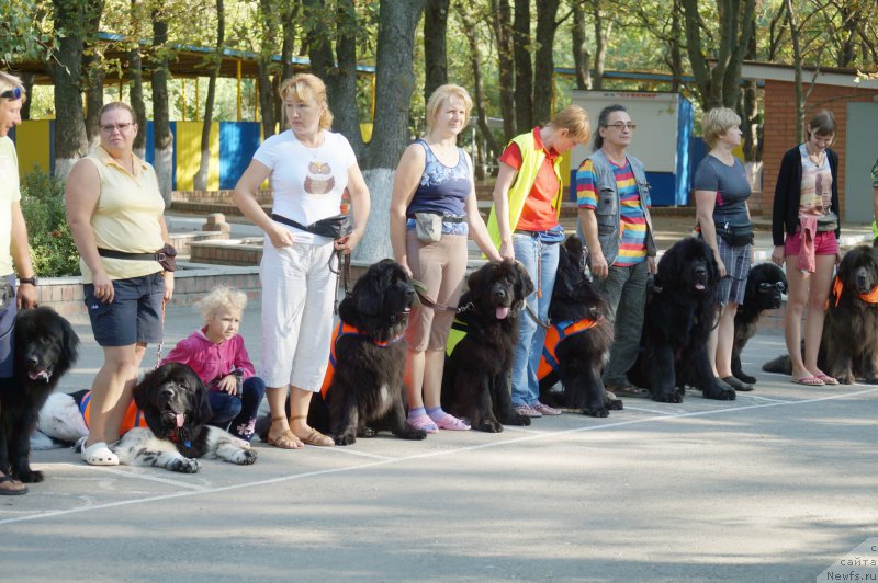 Фотография № 163835