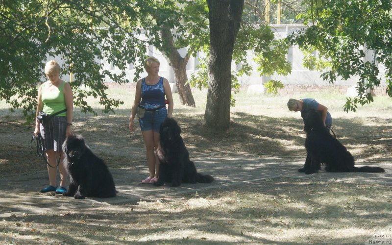 Фотография № 163836