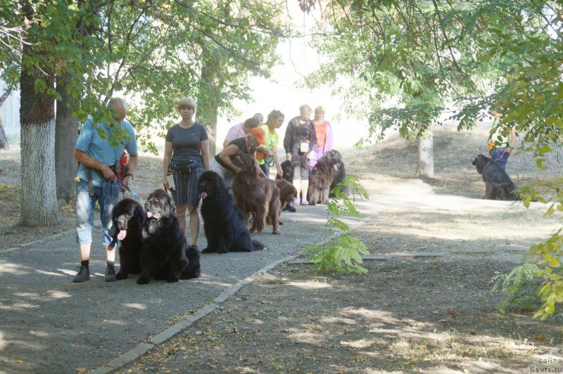 Фотография № 163840