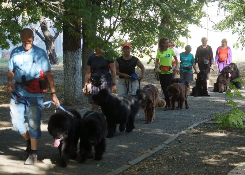 Фотография № 163841