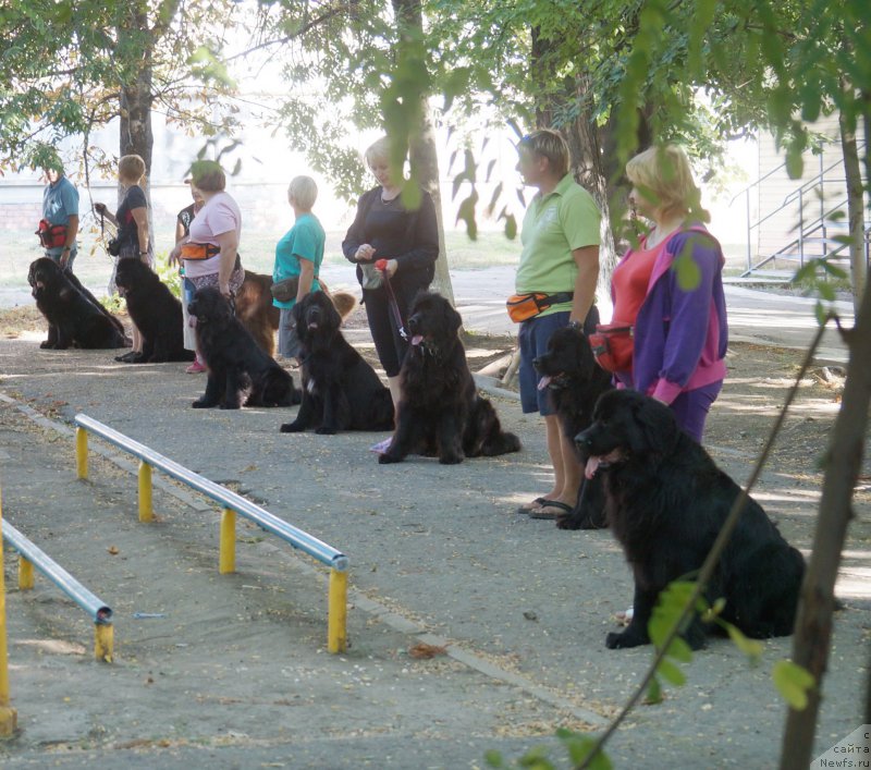 Фотография № 163842