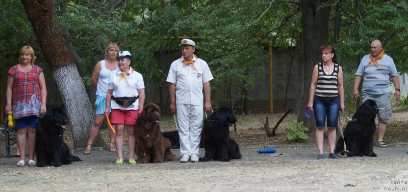 Фотография № 163846