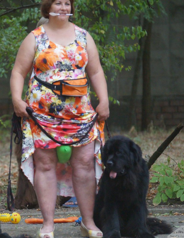 Фотография № 163848