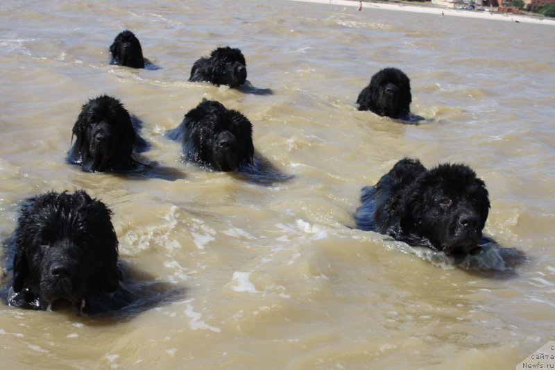 Фотография № 163849