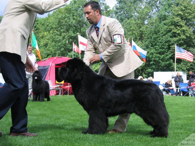 Фотография № 16385