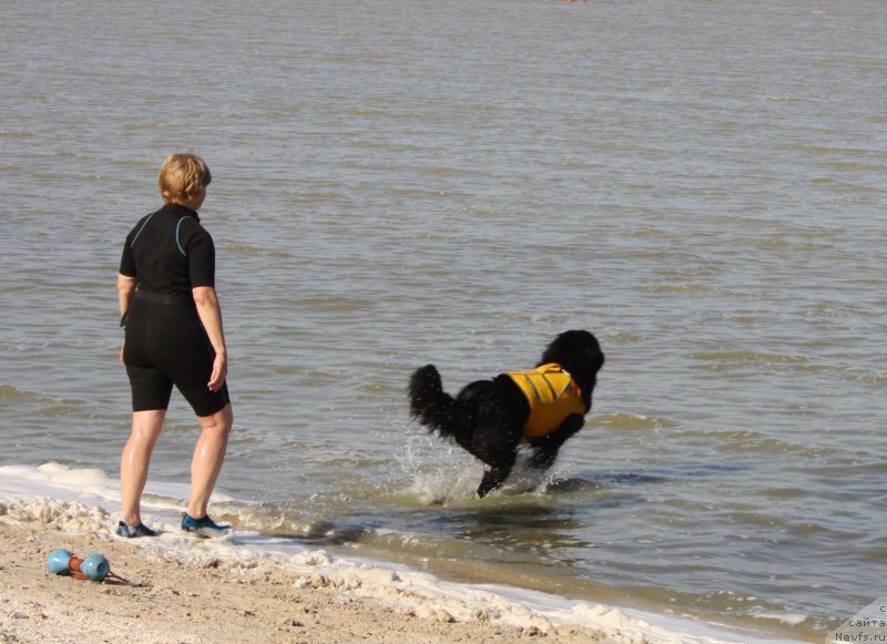 Фотография № 163850