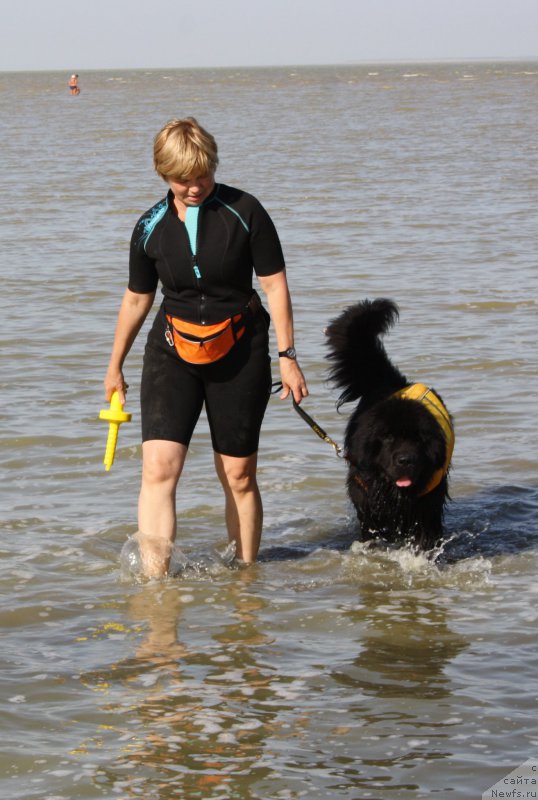 Фотография № 163851