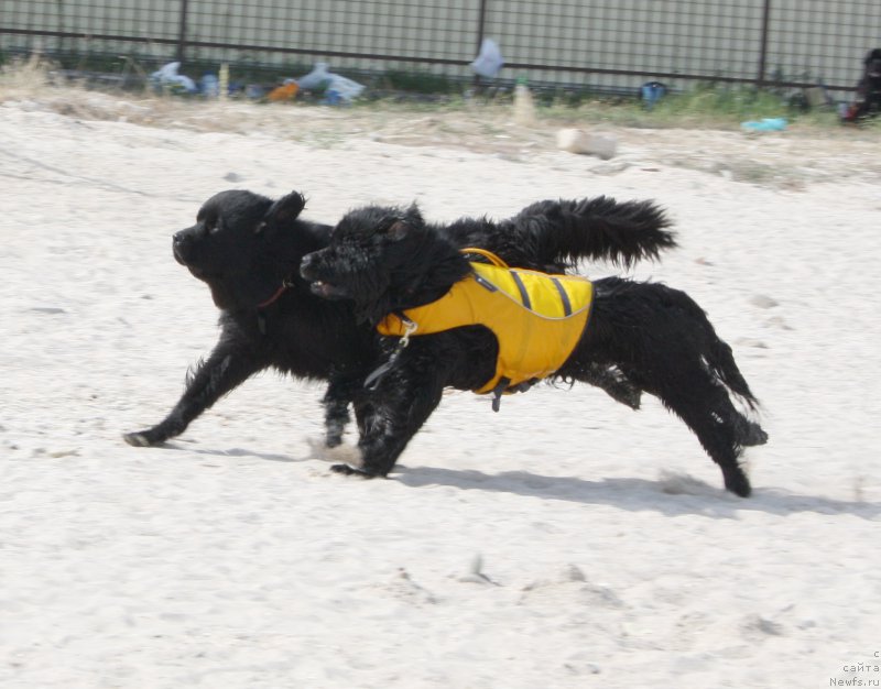 Фотография № 163852