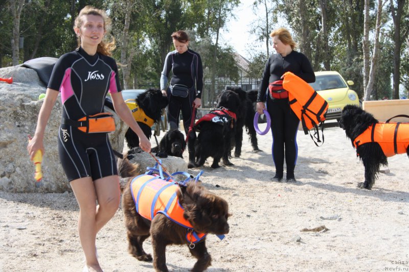 Фотография № 163853