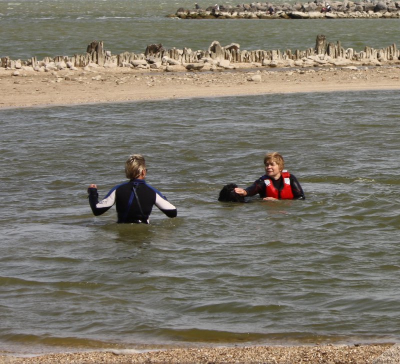 Фотография № 163855