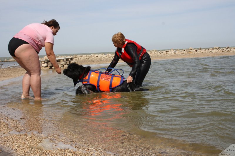 Фотография № 163857