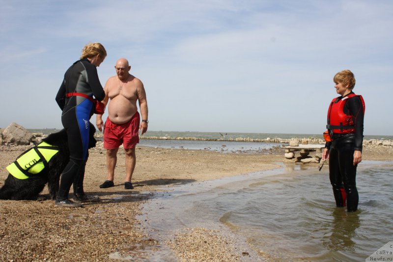 Фотография № 163859