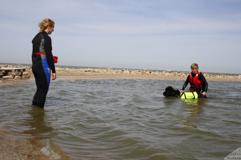 Фотография № 163860