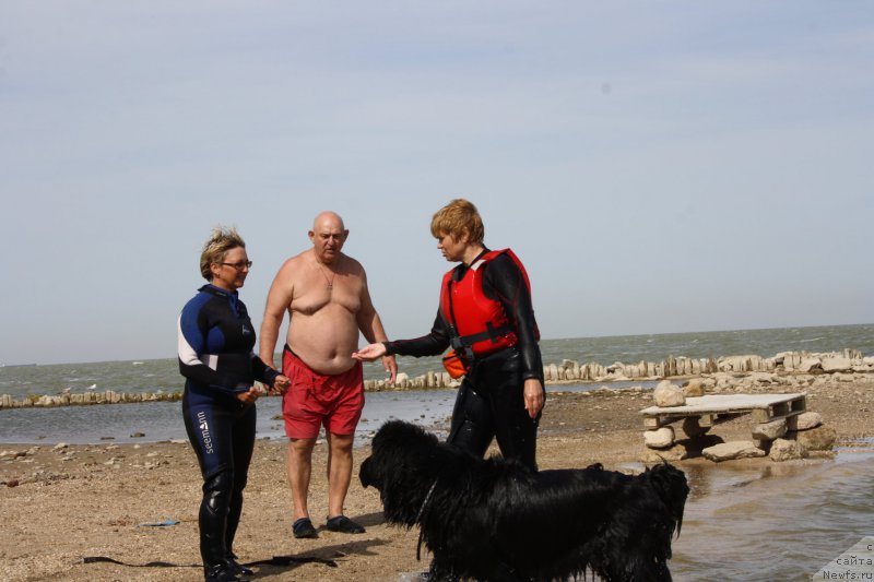 Фотография № 163861