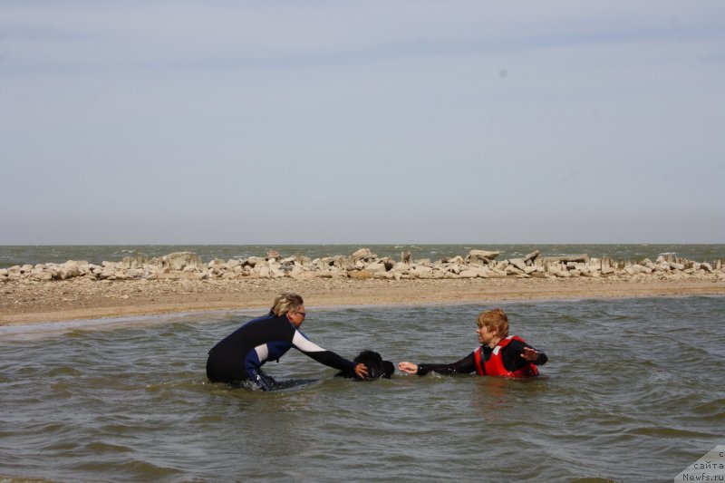 Фотография № 163862