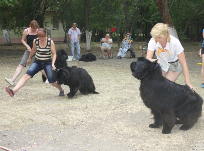 Фотография № 163867