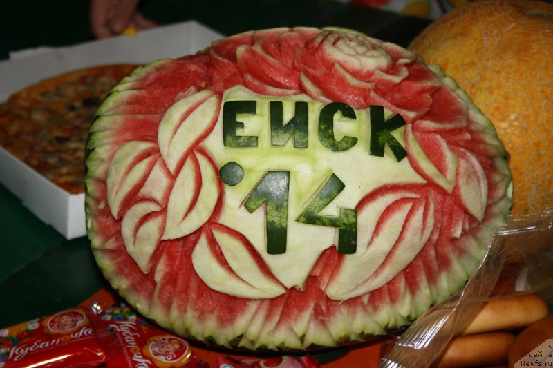 Фотография № 163869