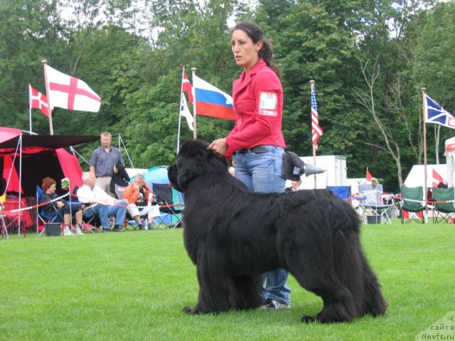 Фотография № 16387