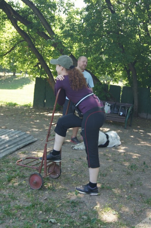 Фотография № 163879