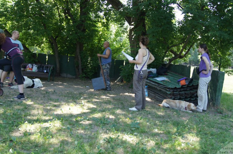 Фото: Mihail Mihaylov (Михаил Михайлов), Aleksandr Burmistrov (Александр Бурмистров), Aleksandra Fetisova (Александра Фетисова), Alla Lipovickaya (Алла Липовицкая)