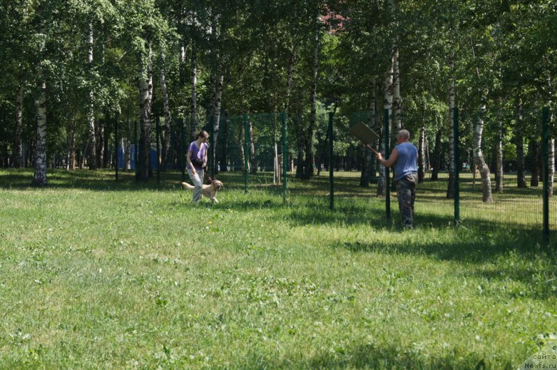 Фото: Alla Lipovickaya (Алла Липовицкая), Кики