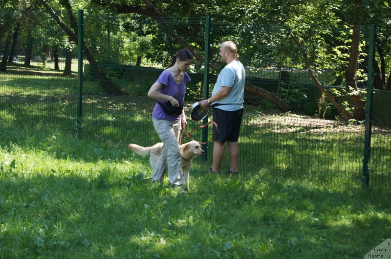 Фотография № 163891