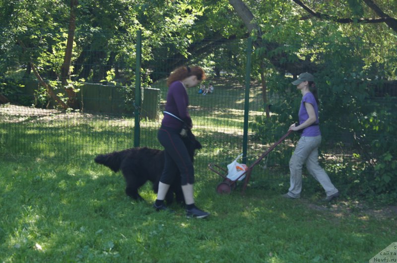 Фотография № 163895