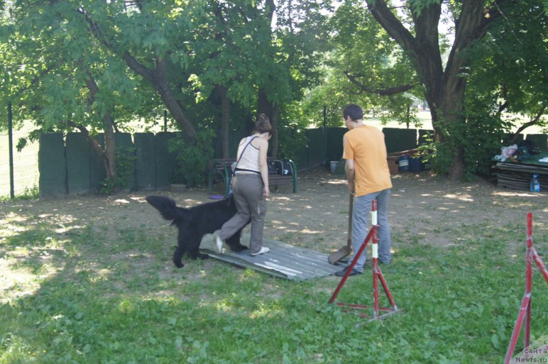 Фотография № 163909