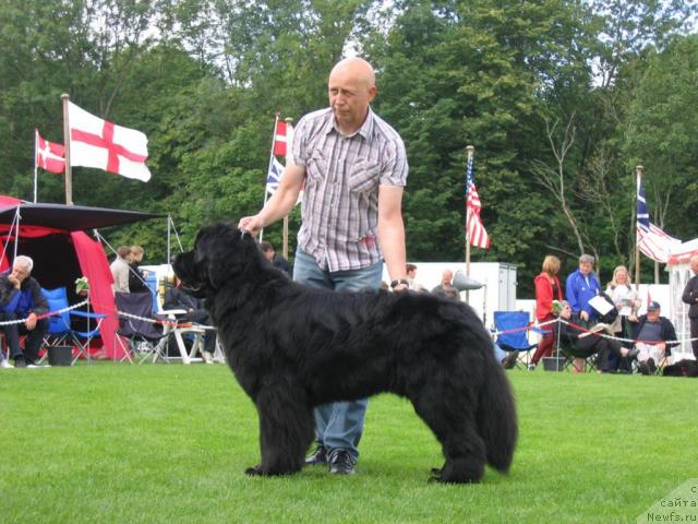 Фотография № 16394