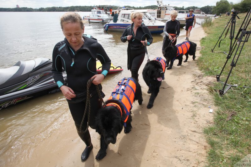 Фотография № 163946