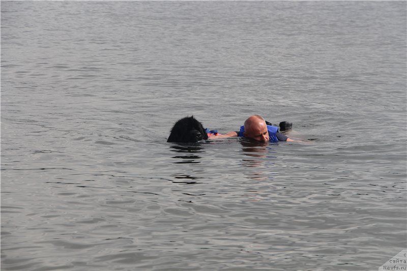 Фотография № 163952