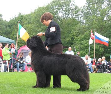 Фотография № 16398