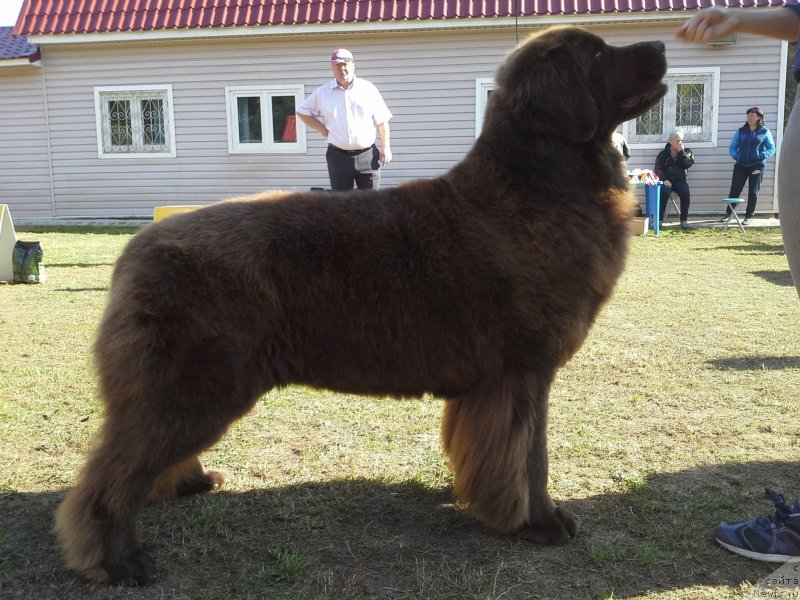 Фотография № 163980