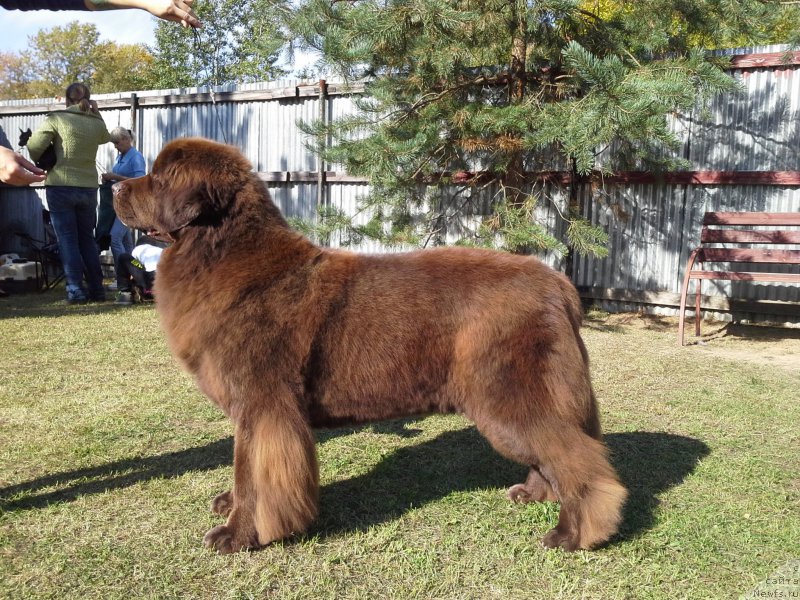 Фотография № 163981