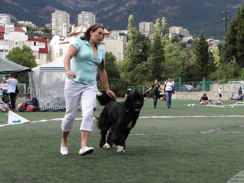 Фотография № 163989