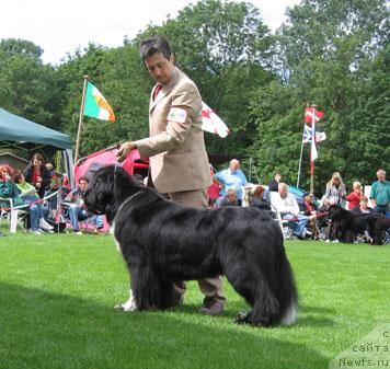 Фотография № 16399