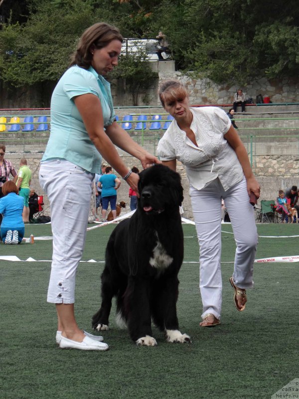 Фотография № 163991