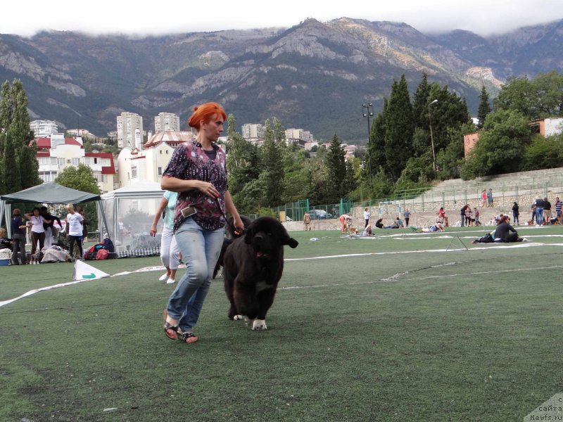 Фотография № 163992