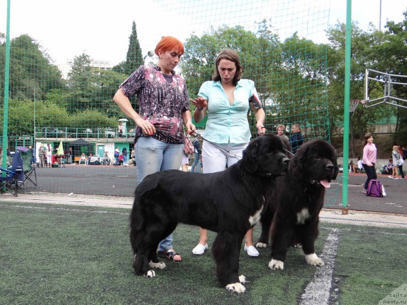 Фотография № 163994