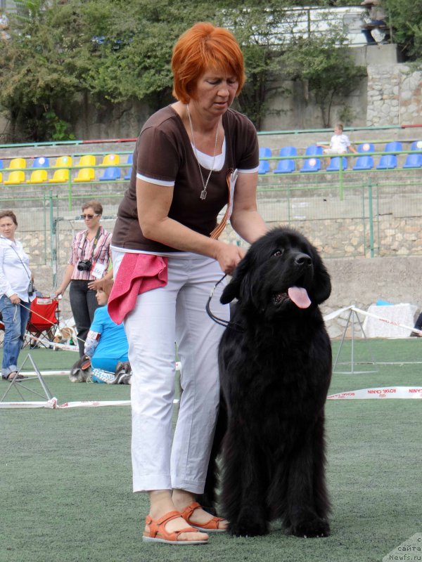 Фотография № 163997