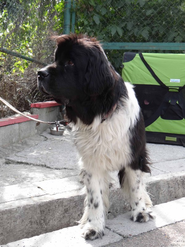 Фотография № 164001