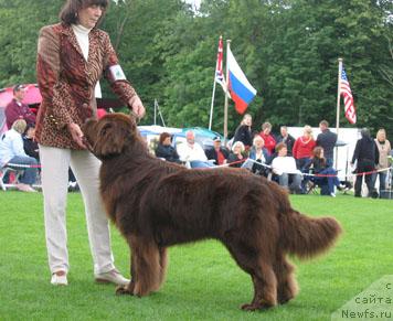 Фотография № 16401